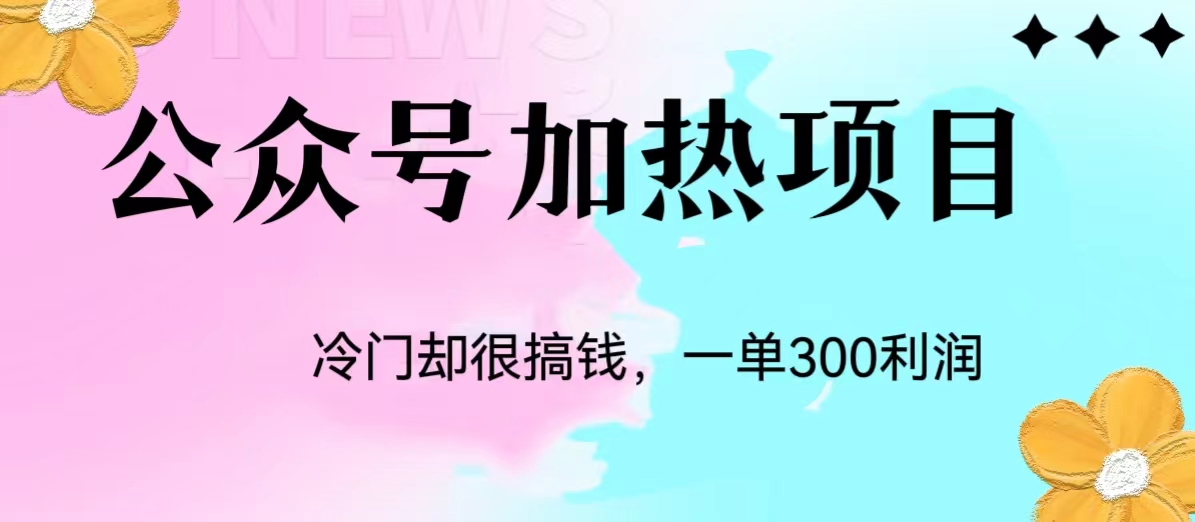 冷门公众号加热项目，每天1-2小时，一单100-300+网赚项目-副业赚钱-互联网创业-资源整合歪妹网赚